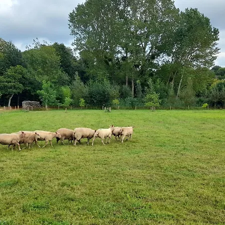 Spacieux Avec Jardin, Wifi, Animaux Admis - Fr-1-410-462 Prázdninový dům *
