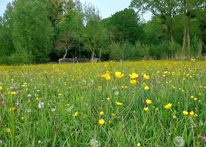 Spacieux Avec Jardin, Wifi, Animaux Admis - Fr-1-410-462 *