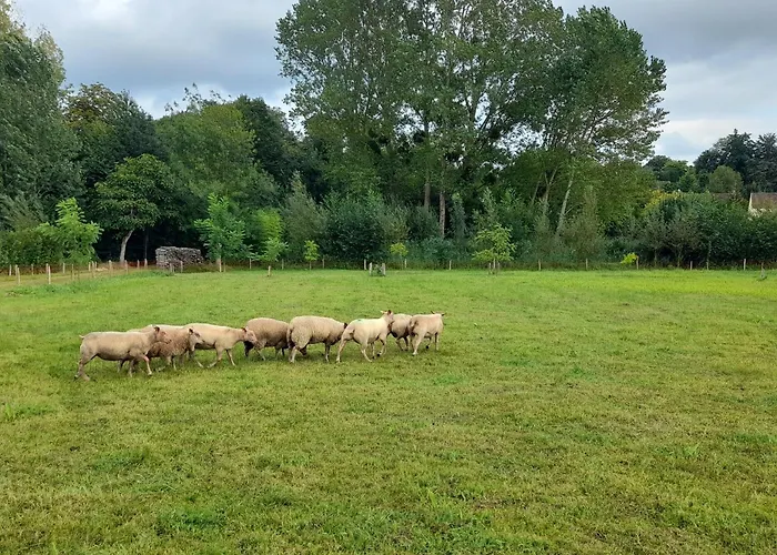 Spacieux Avec Jardin, Wifi, Animaux Admis - Fr-1-410-462 בית נופש *